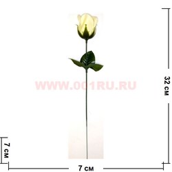 Роза 32 см в подарочной коробочке - фото 106998