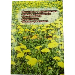 Книга Эфирные Масла - фото 154536