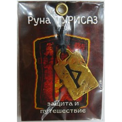 Руна Турисаз металлическая защита и путешествие - фото 156728