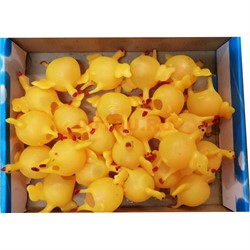 Игрушка «курица с яйцом» 24 шт/упаковка - фото 170862