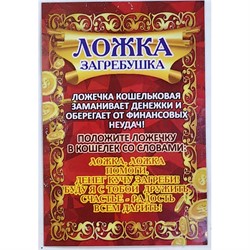 Ложка загребушка простая 35 мм денежный амулет в кошелек - фото 226086