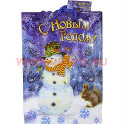 Пакет подарочный новогодний 14х20 см (рисунки в ассортименте) - фото 59934