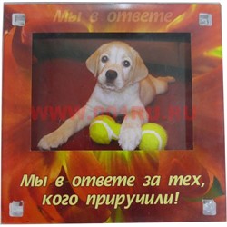 Магнит-фоторамка в ассортименте, цена за 10 шт - фото 79743