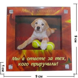 Магнит-фоторамка в ассортименте, цена за 10 шт - фото 79744