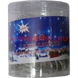Гирлянда "Листочек" 6 м 40 светодиодов - фото 83913