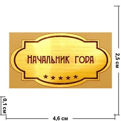 Наклейка на статуэтку "Оскар" оптом "Начальник года" - фото 92161
