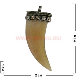Подвеска на шею "Клык" (кость, мельхиор) - фото 96242