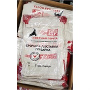 Пакет подарочный новогодний Северная почта 18x28 см 12 шт/упаковка
