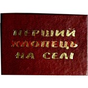 Прикол "Удостоверение перший хлопець на сели"