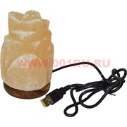 Лампа солевая "цветок" с зарядкой USB