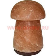 Лампа солевая "грибок" большая 20 см с зарядкой USB