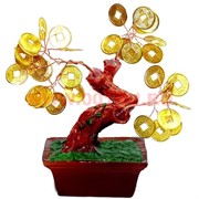 Денежное дерево №3 (17см) золото