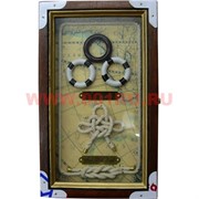 Ключница морская 12 видов