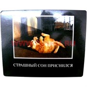 Картинка-прикол "Страшный сон приснился"