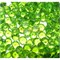 Кабошоны 10 мм «бриллиант» из зеленого стекла