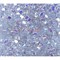 Кабошоны 5x7 зернышки из белого фианита