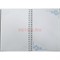 Тетрадь на пружине Казанская икона Божией Матери 9x7,5 см - фото 178218